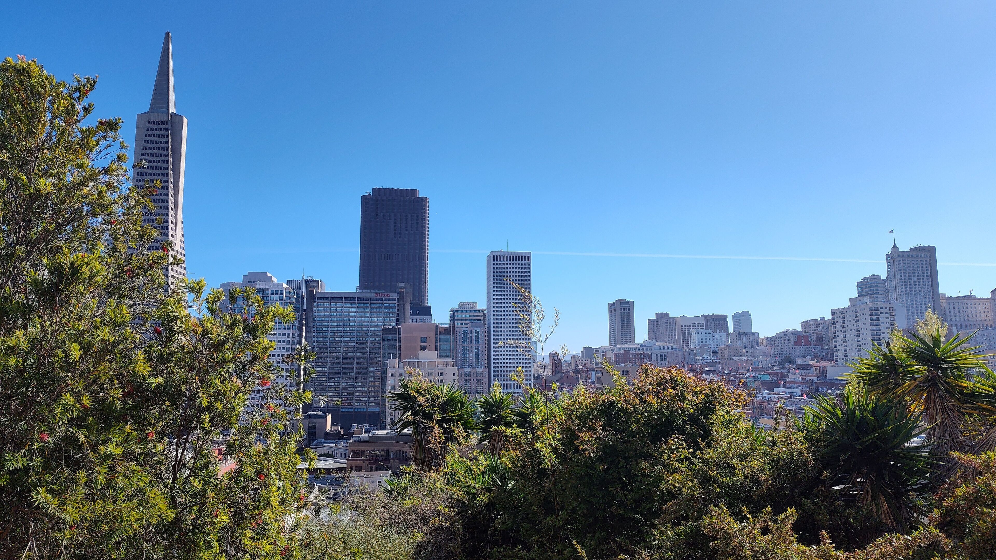North Beach-Telegraph Hill apartment with view, private garden and deck! 