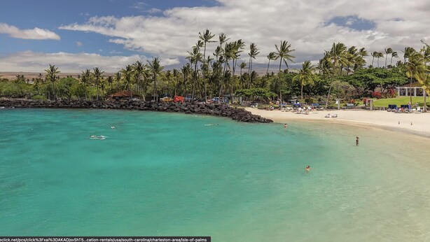 Une plage à l’eau turquoise et limpide, bordée de palmiers et d’un rivage sablonneux.