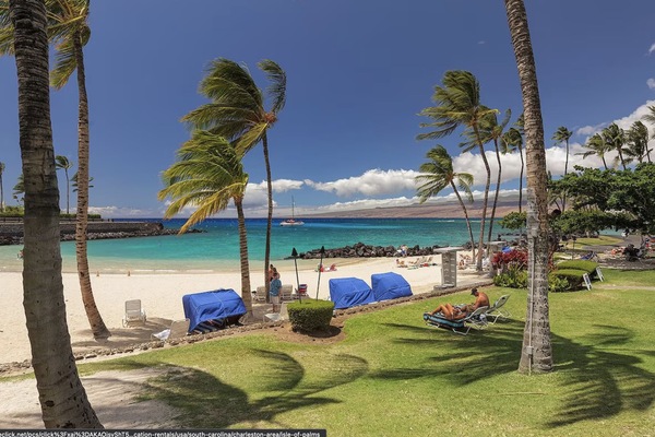 Camastros y toallas de playa