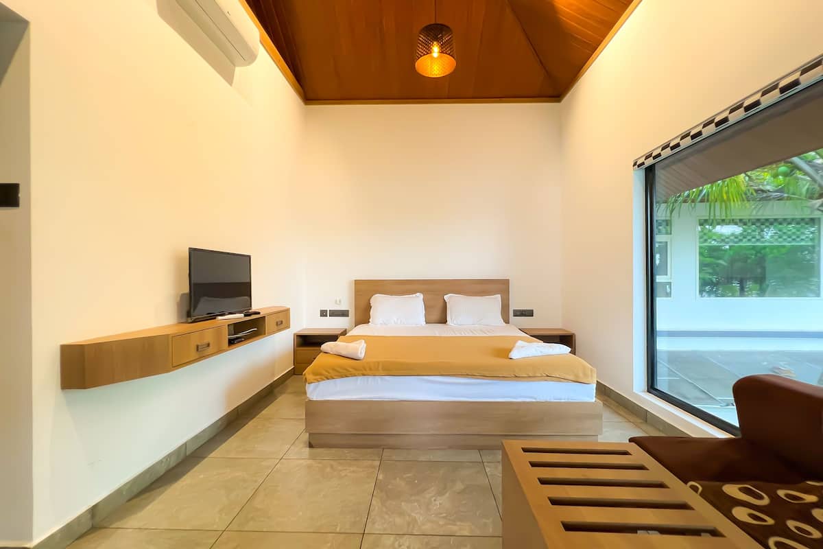 A modern hotel room with a large bed, a TV on a wooden console, a window with a view of greenery, and a ceiling light.