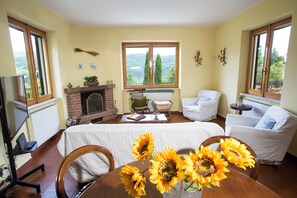 Smart TV, fireplace, books