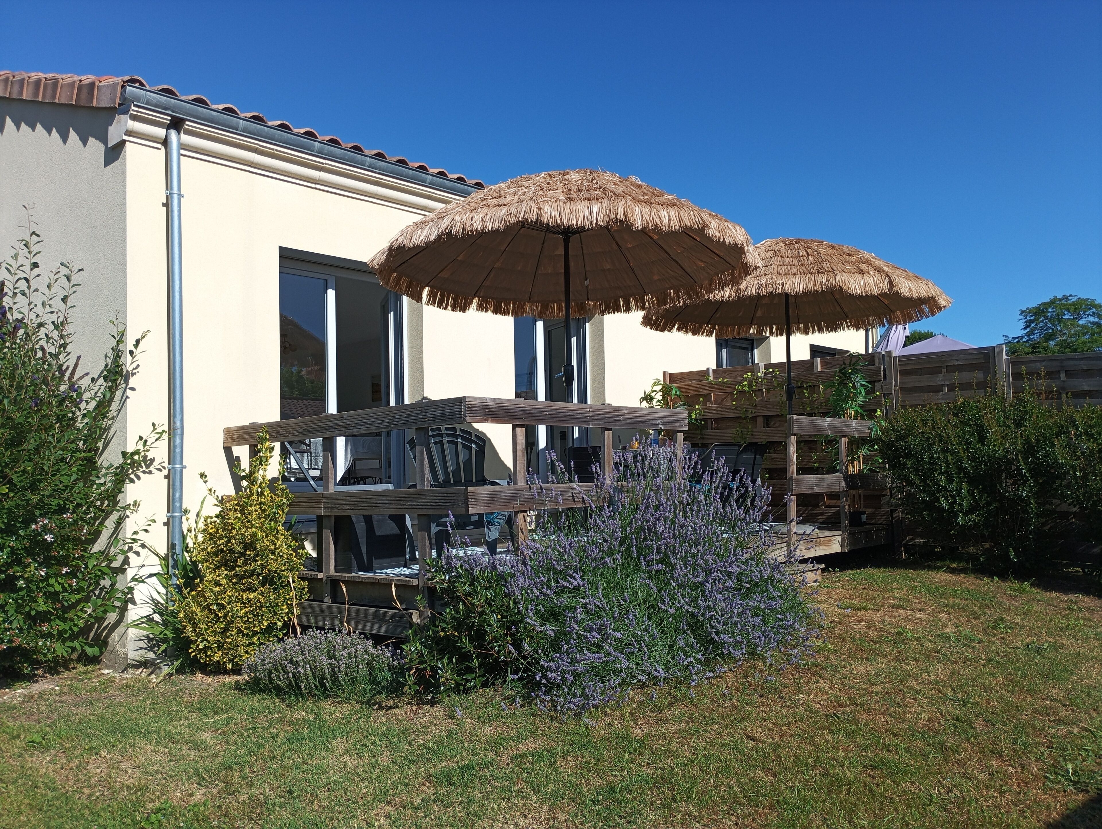 Terrasse/gårdhave