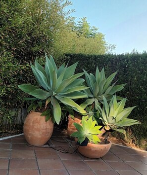 Property grounds - Casita de la Playa (El Rompido)