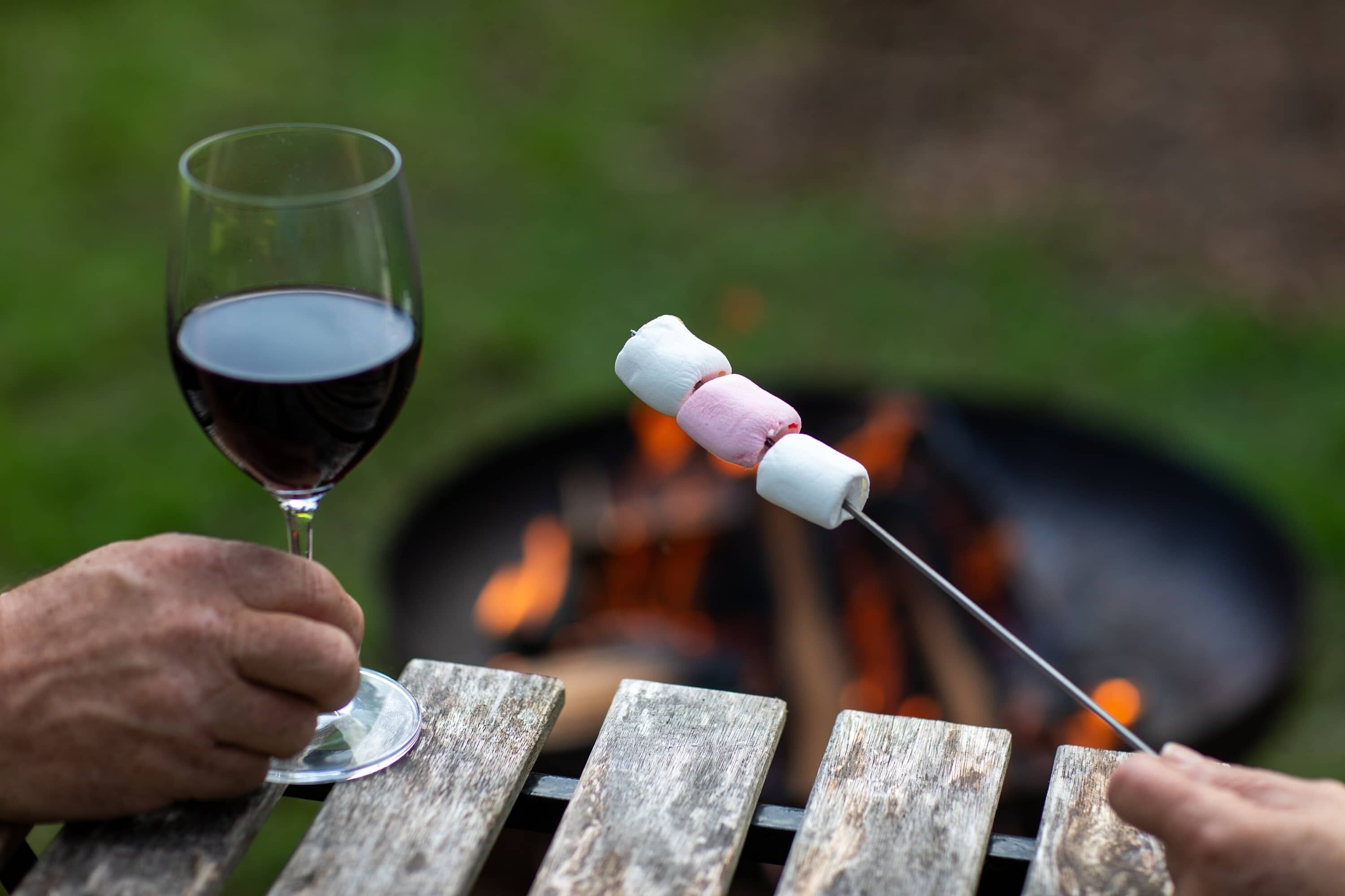 A person holding a glass of red wine and a stick with marshmallows over a fire.