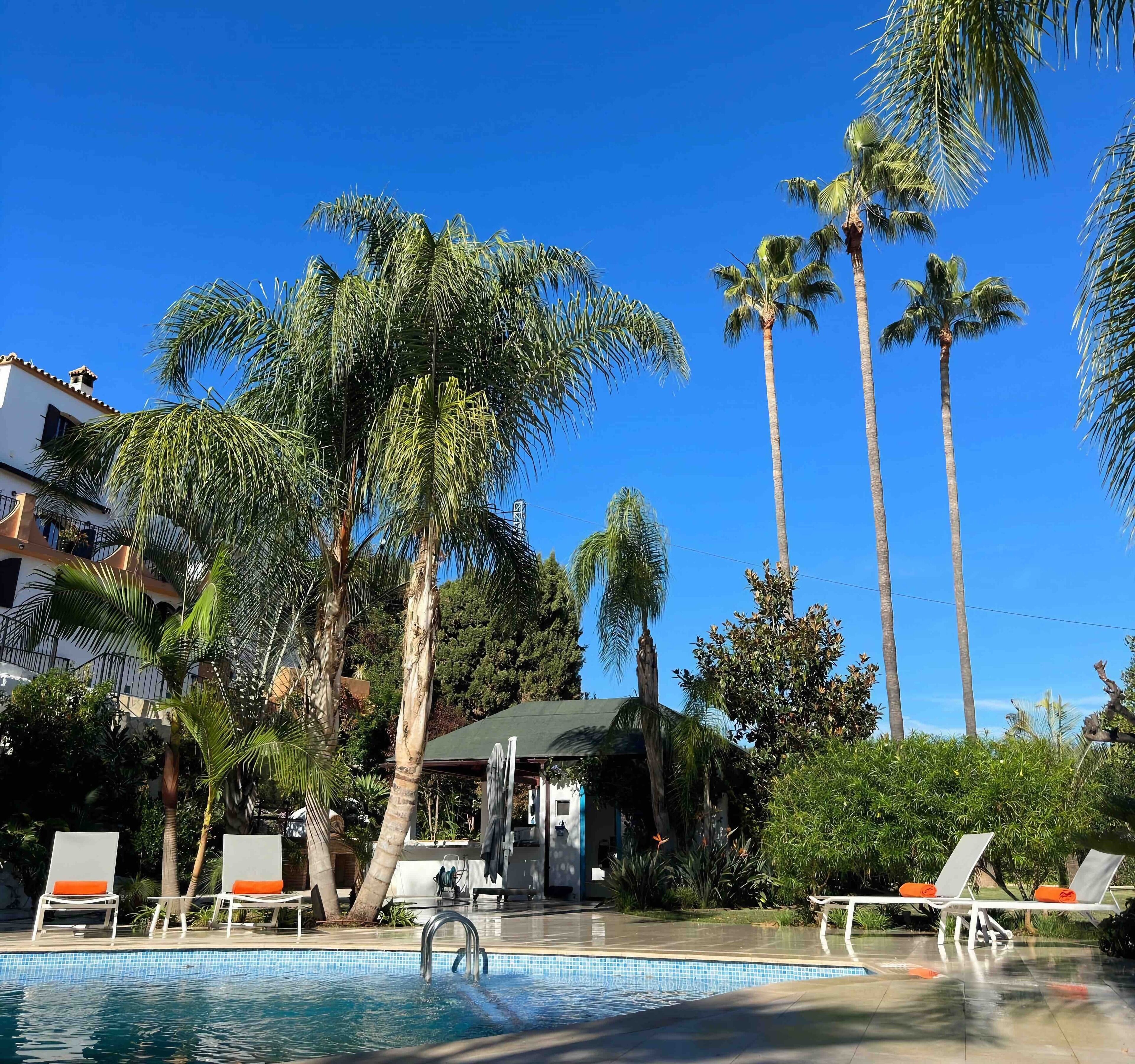 Foto - La Pina Verde