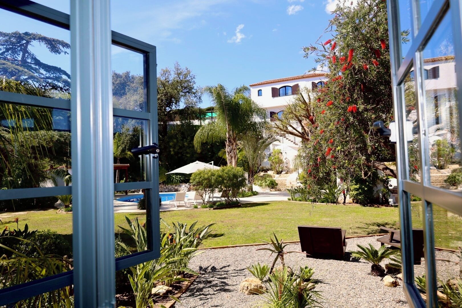 Photo - La Pina Verde