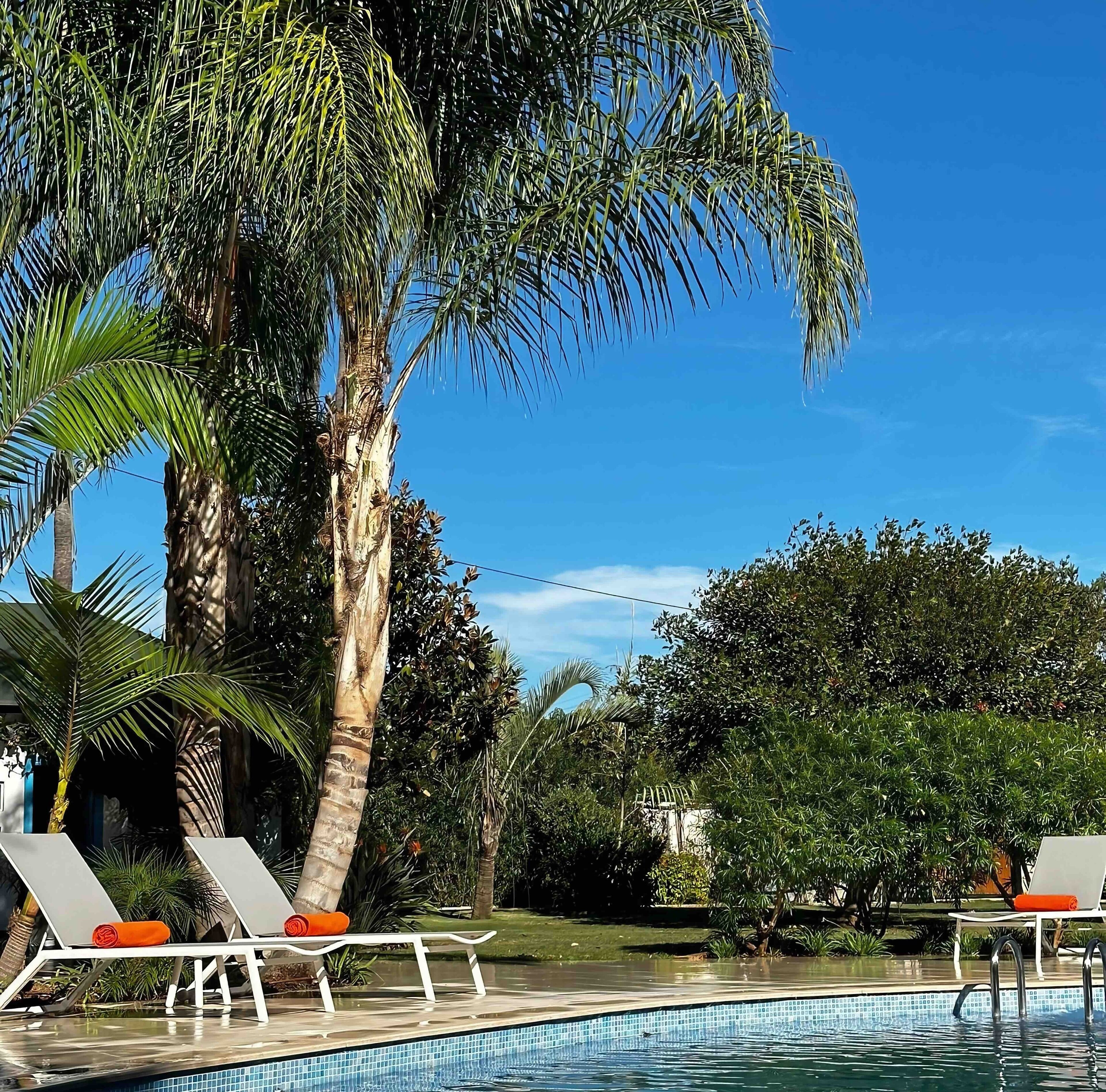 Photo - La Pina Verde