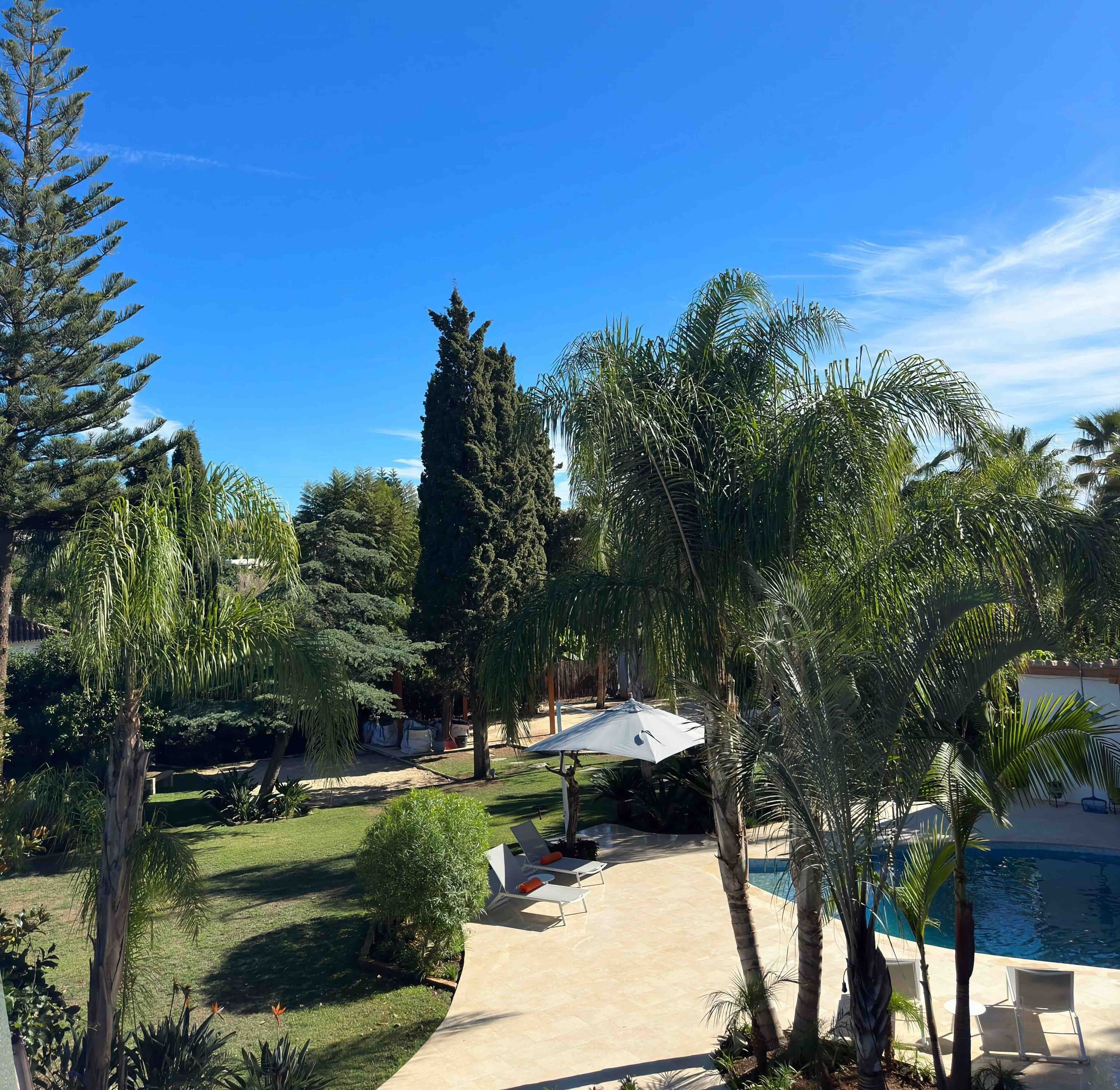 Foto - La Pina Verde