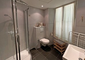 Shower, hair dryer, towels