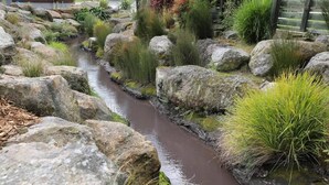A narrow water channel with rocks and green plants. - The Sanctuary - Modern, Spa Pool, Sleeps 4 (Rotorua)