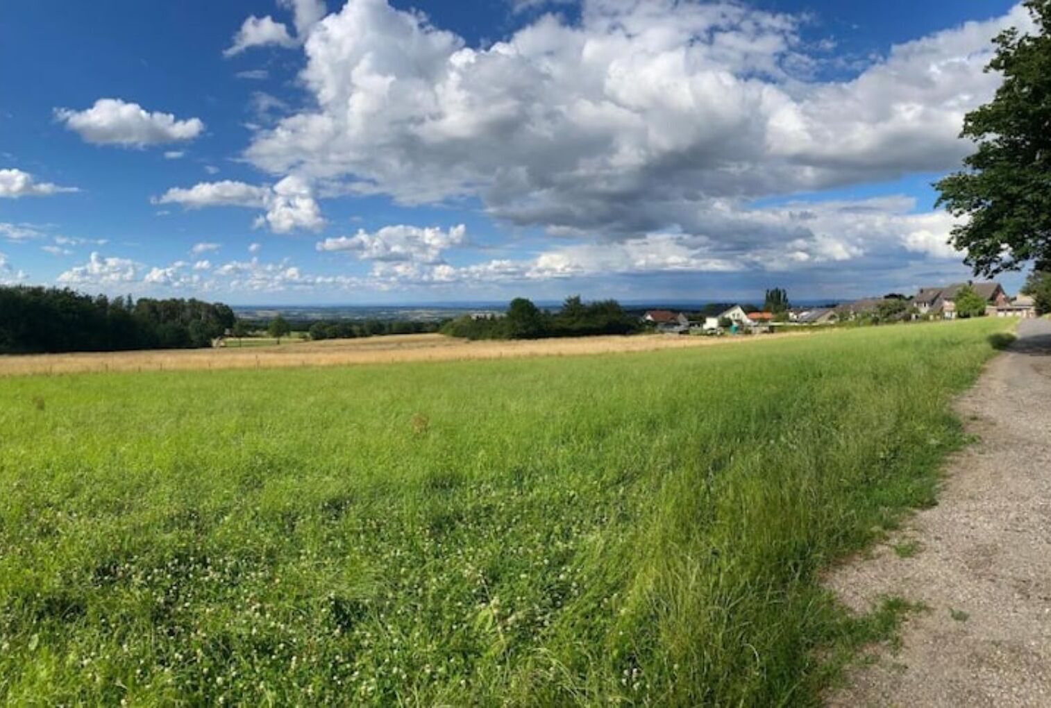 Ländliche Landschaft mit Feldwegen, grünen Feldern und Häusern in der Ferne unter bewölktem Himmel.