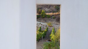 A narrow corridor with a view of a landscaped area outside, including a pathway and some greenery. - Modern villa with pool near the Valley of the Temples and the Scala dei Turchi. (Favara)