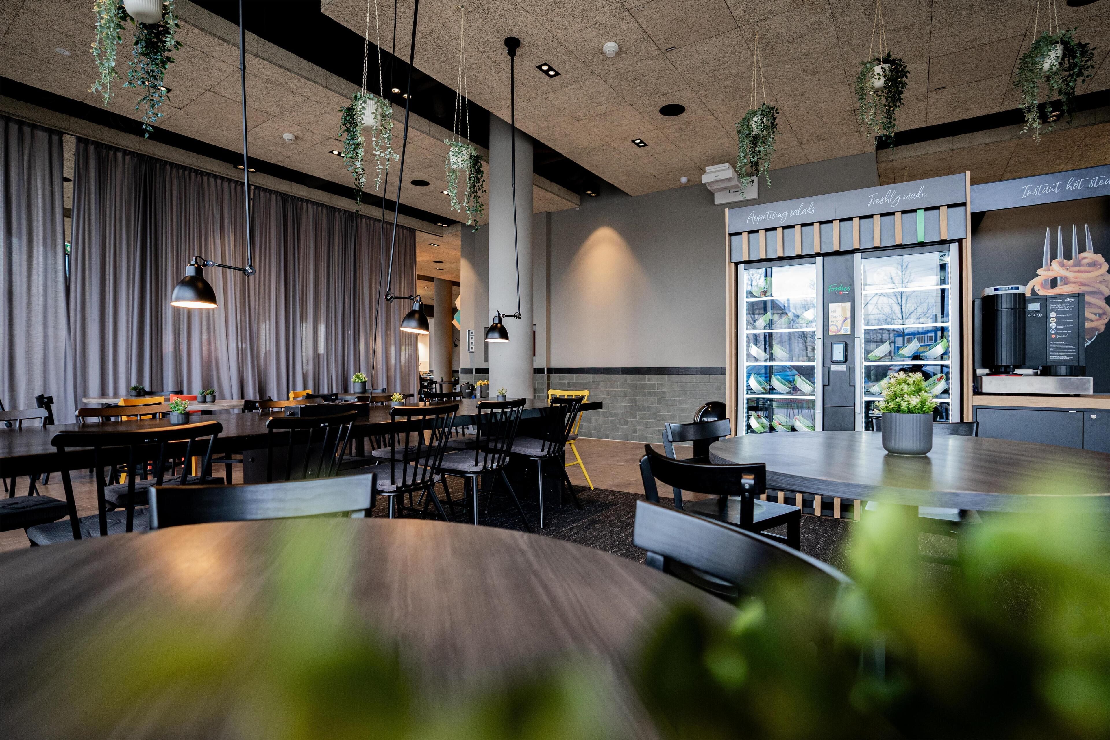 A modern restaurant with a mix of dining tables and booths, hanging plants, and a large window with a view.