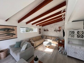 Televisión, chimenea y libros 