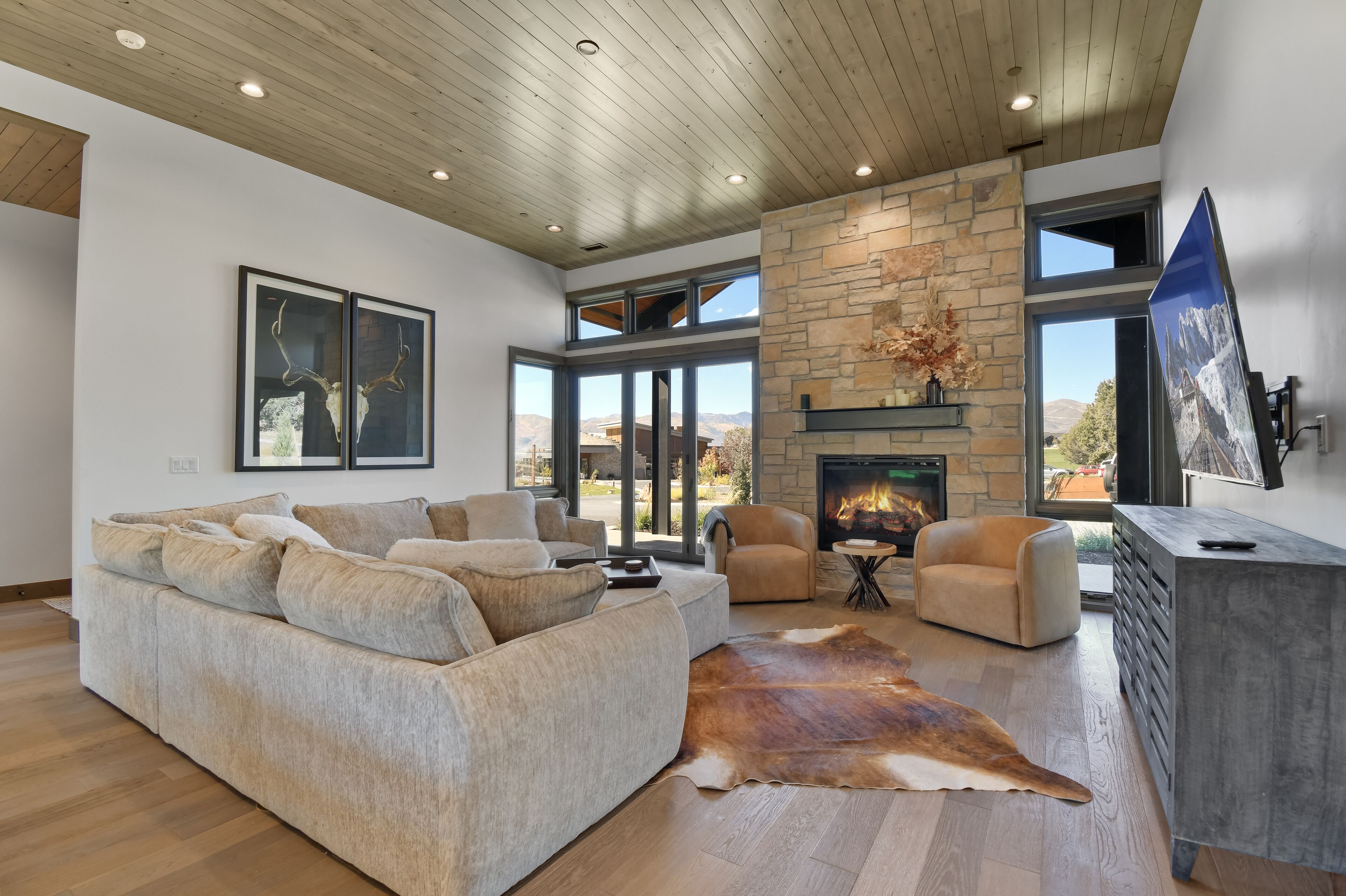 TV, fireplace, ping pong