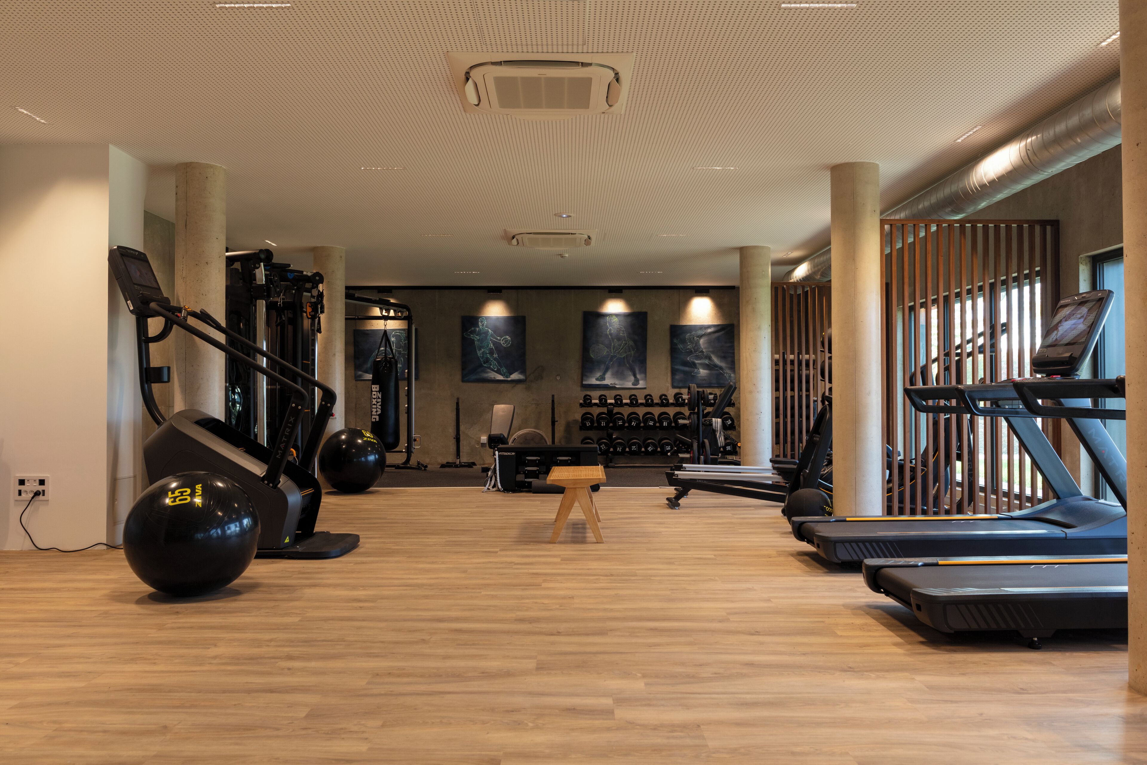 A gym with treadmills, elliptical machines, and free weights.