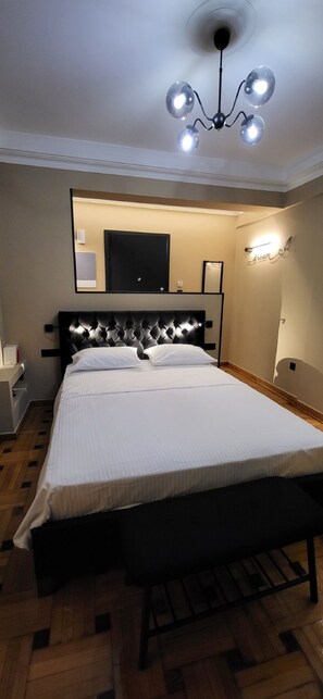 Luxury Apartment