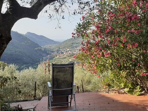 A chair facing a scenic view with a mountain backdrop and a flowering bush. - Detached Holiday Home on Olive Grove with Beautiful Sea View (Liguria)
