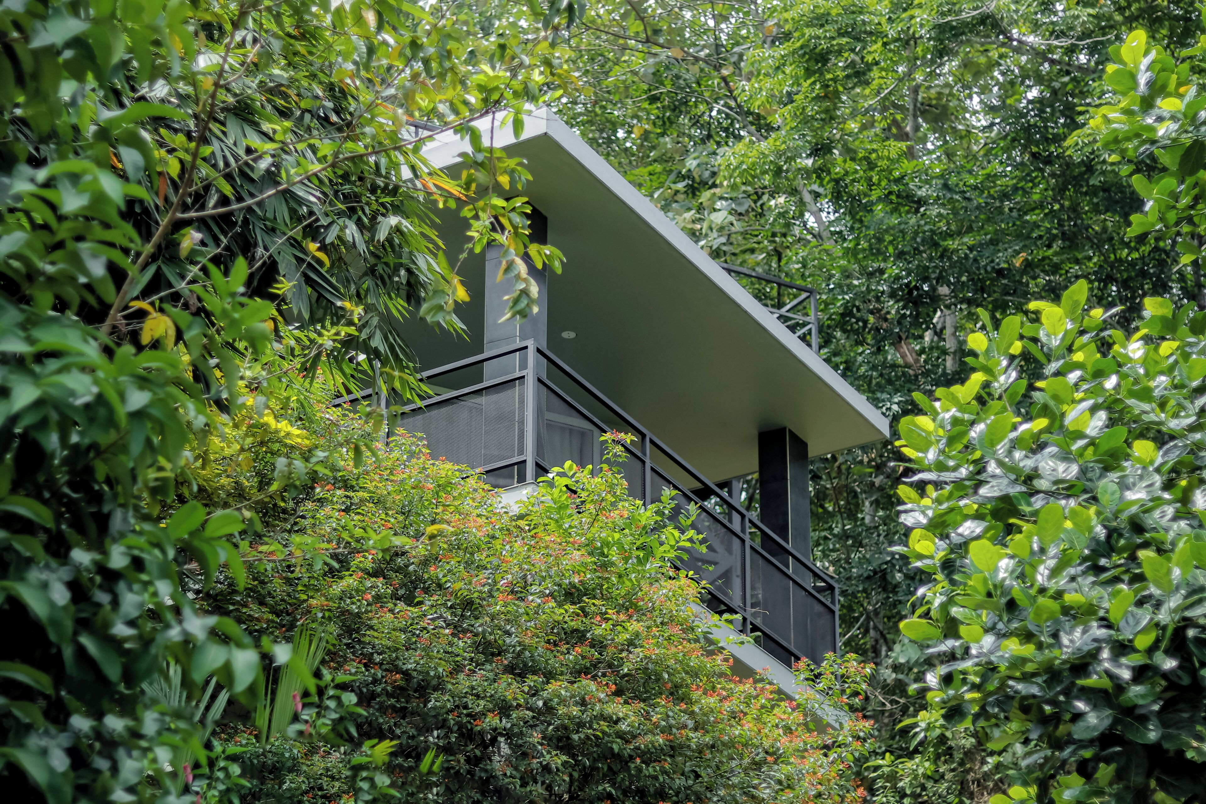 A modern building with a balcony, surrounded by dense greenery.