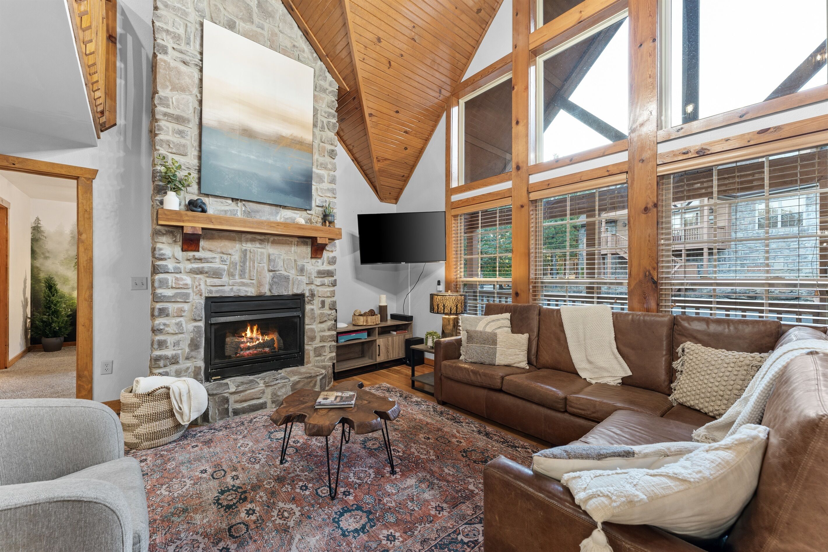 Smart TV, lareira, livros, escritórios