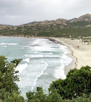 Strand