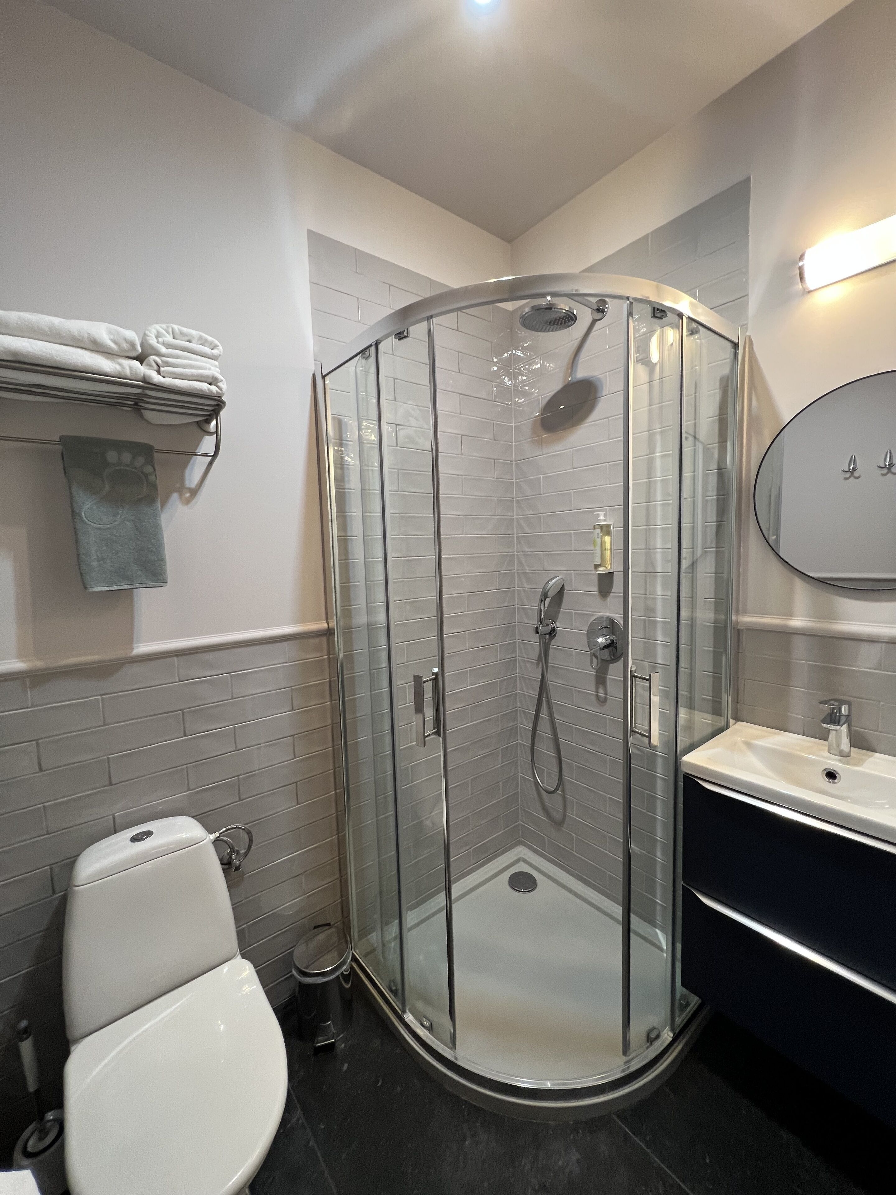 Ein modernes Badezimmer mit einer Duschkabine, einer weißen Toilette und einem Waschbecken mit Spiegel.