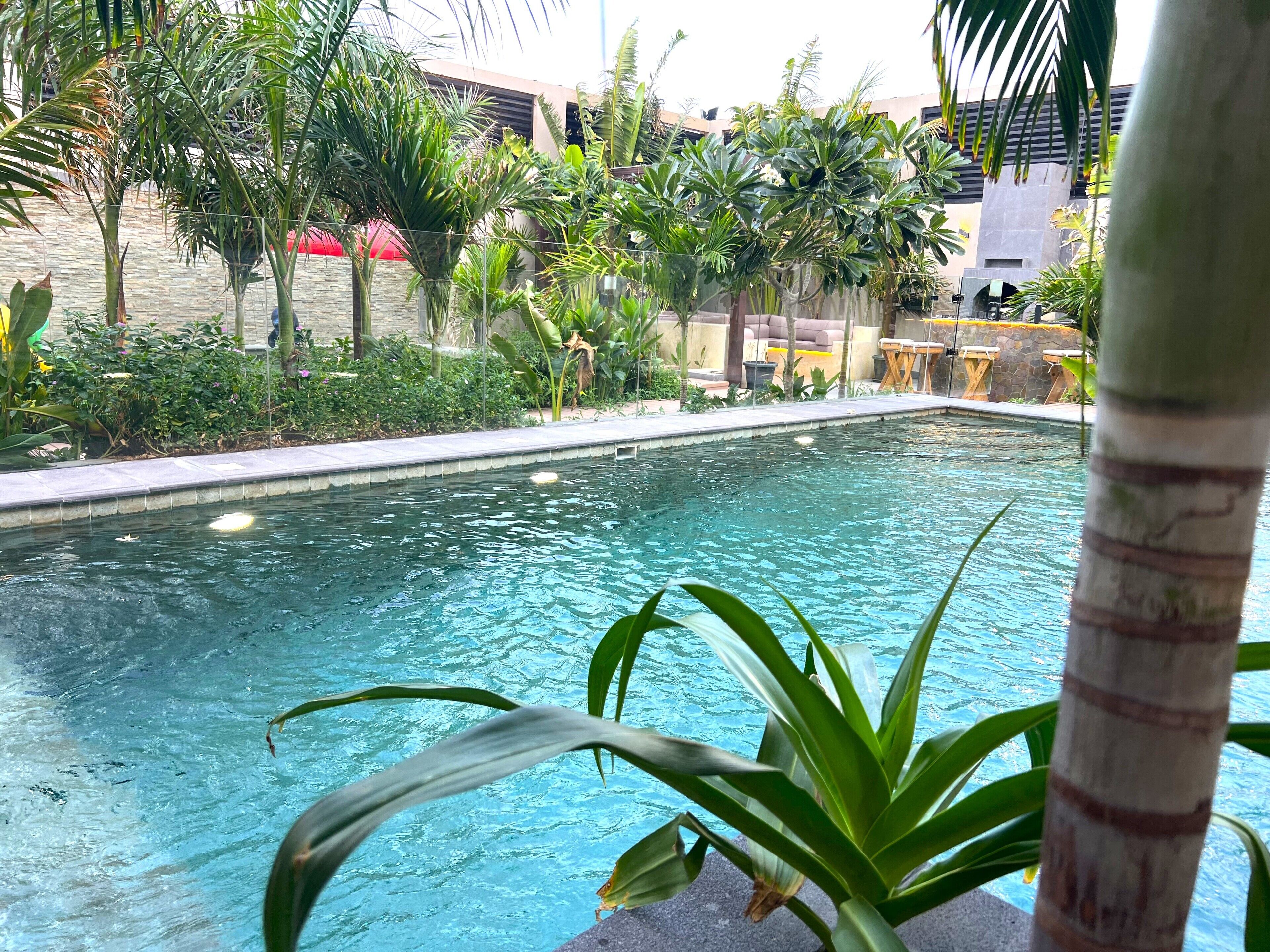 A pool surrounded by lush greenery and a stone wall.