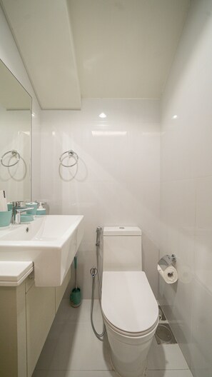 Shower, hair dryer, bidet, towels