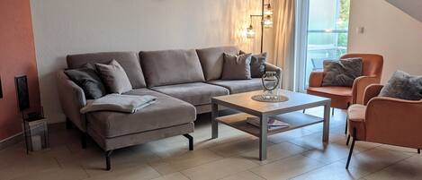 Télévision, cheminée, lecteur de DVD, livres