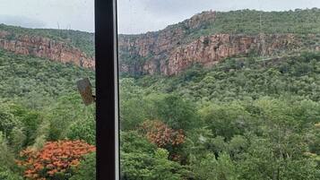 A view of a mountainous landscape with dense green foliage and red foliage trees.