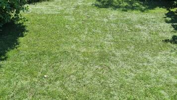 Apartment, 2 Bedrooms, Accessible, Patio | Exterior