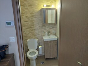 Shower, hair dryer, bidet, towels