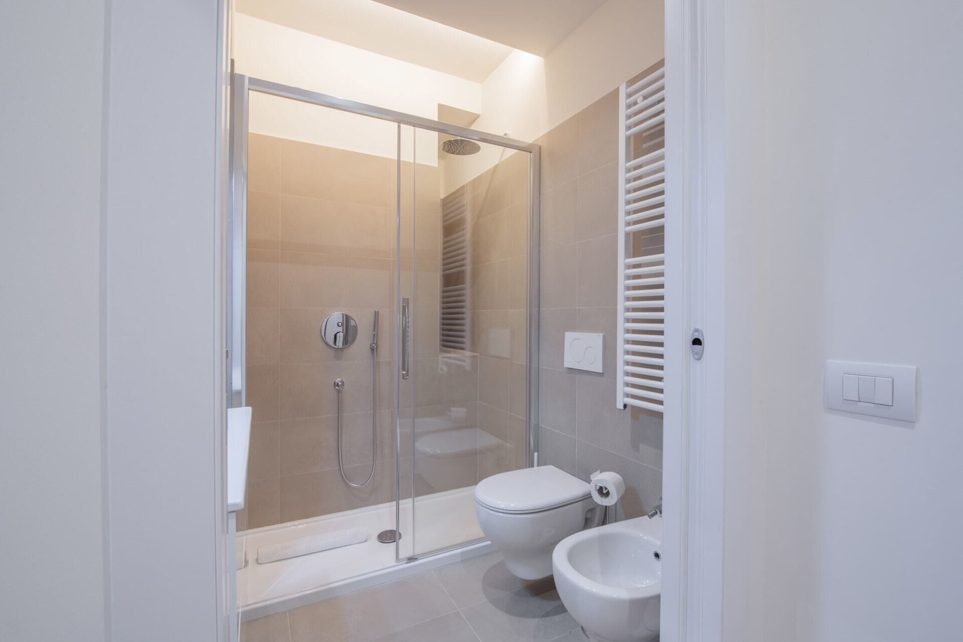 Shower, hair dryer, bidet, towels
