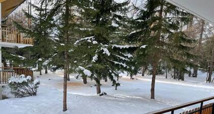 Appartement Auron : Wifi et box - Grand Espace Vert . A Deux pas du Centre