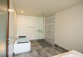 Separate tub and shower, bathrobes, slippers, bidet