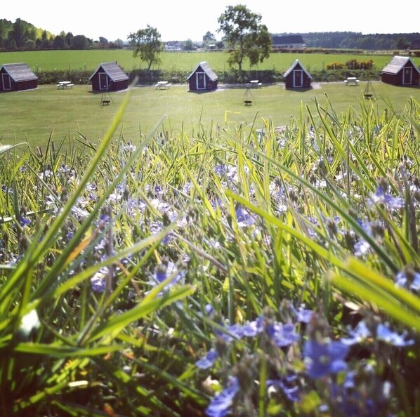 Property grounds - Camping Without the Toil and Trouble!  Luxury En Suite Glamping Pods, Sleep 4. (Brodie)