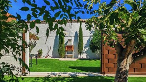 A courtyard with a white wall, a tree, and a well-maintained lawn.