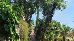 Un camí pavimentat flanquejat per vegetació exuberant i una paret de pedra.