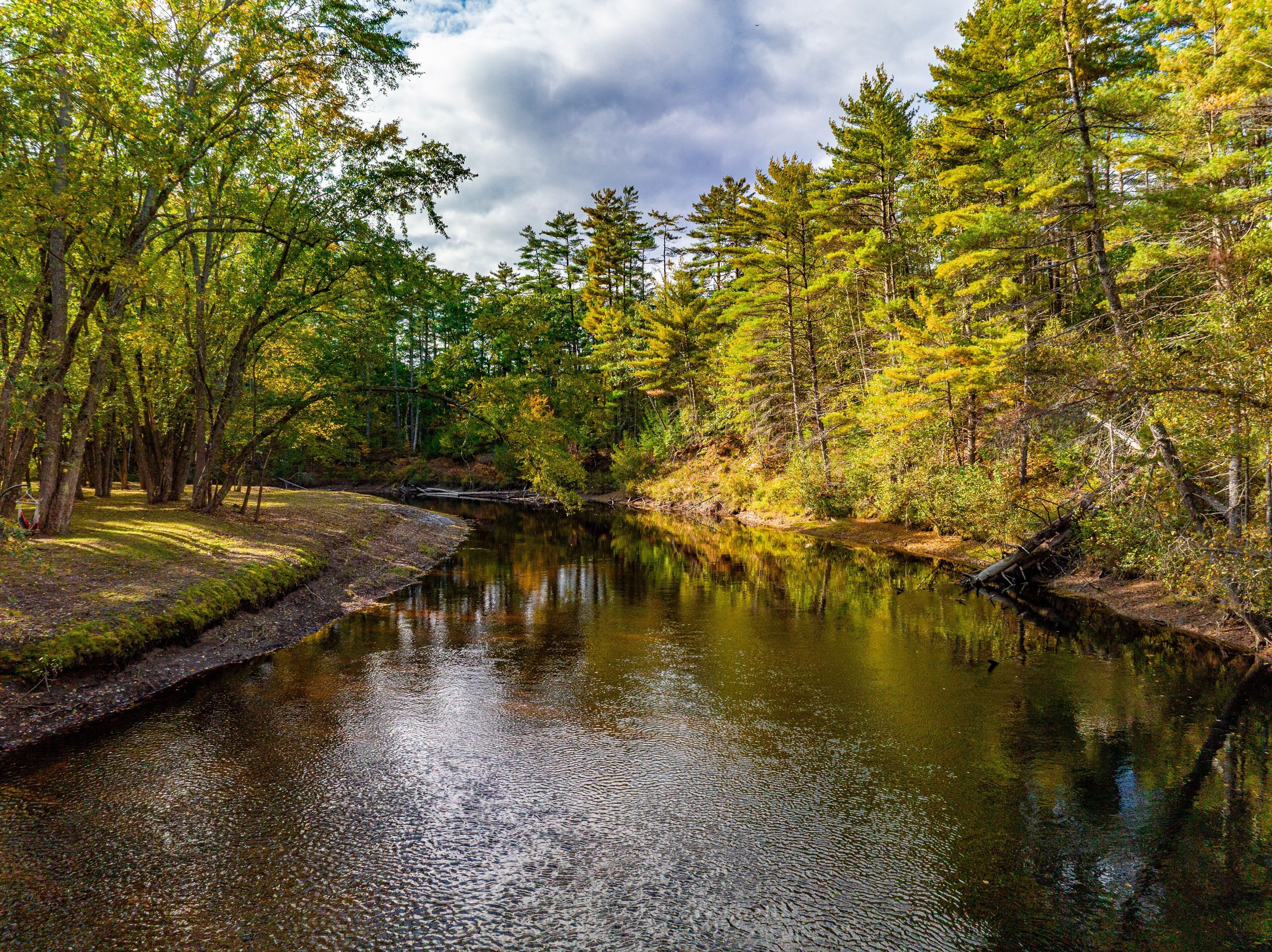 A calm river surrounded by dense forest with a variety of trees.