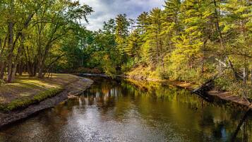A calm river surrounded by dense forest with a variety of trees.