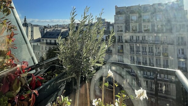 Un balcon agrémenté de plantes en pot, offrant une vue sur le paysage urbain et ses bâtiments.