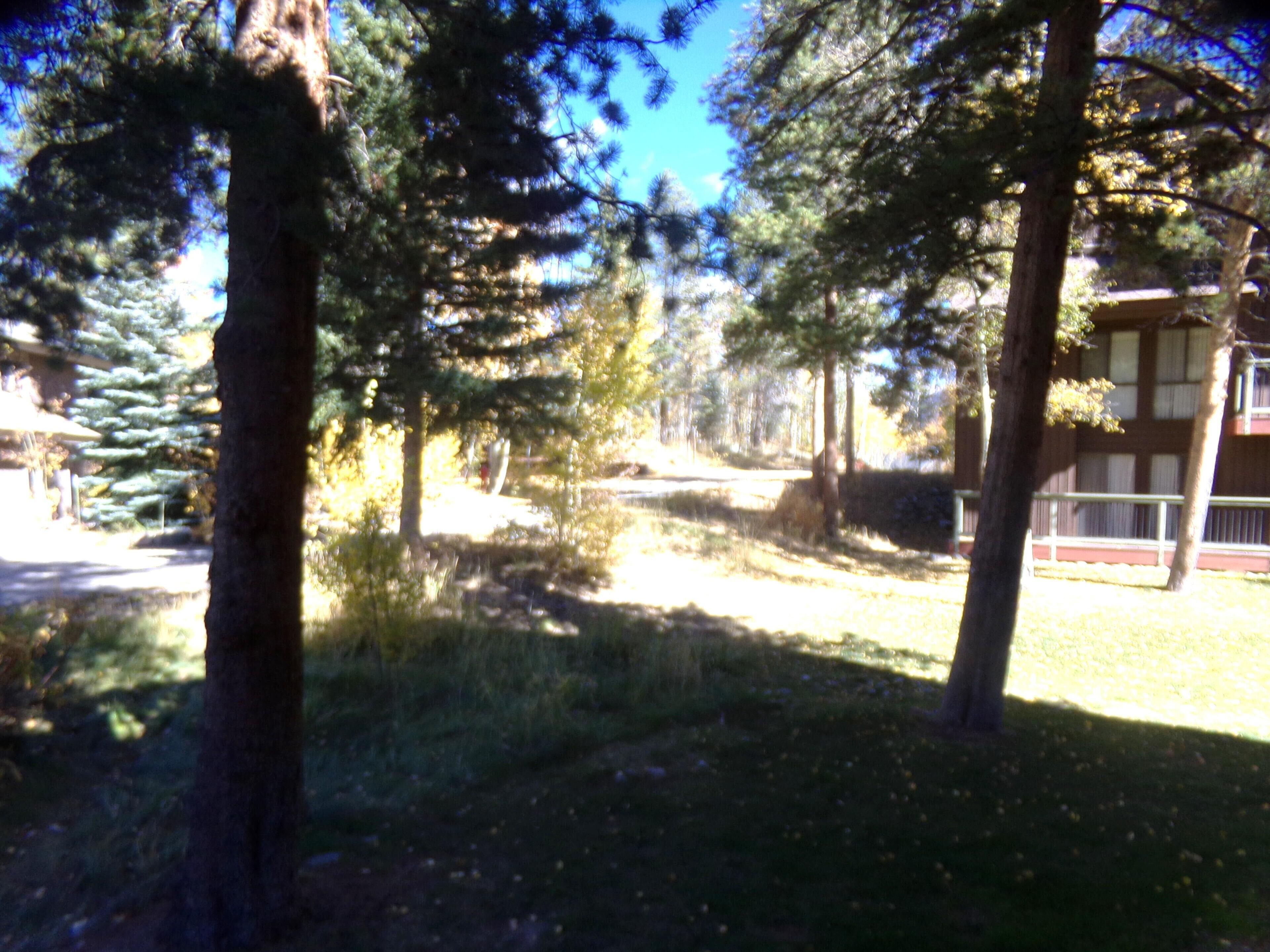 A residential area with trees, a pathway, and a building with a balcony.