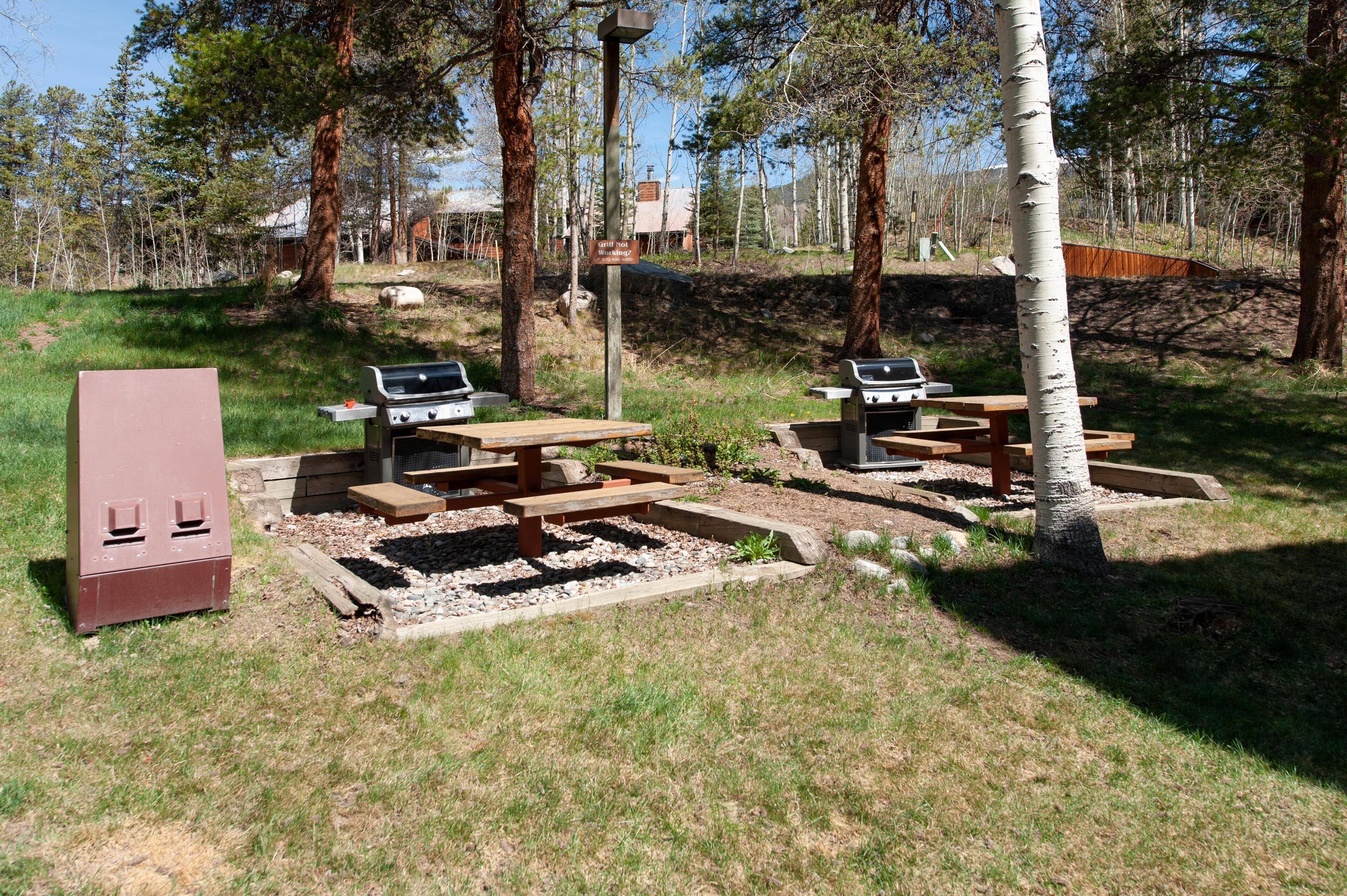 Condo, 1 King Bed with Sofa bed (Wild Irishman 2 bed 2 bath retreat WI) | Outdoor dining