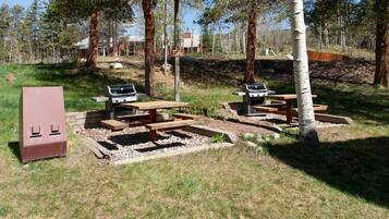 Condo, 1 King Bed with Sofa bed (Wild Irishman 2 bed 2 bath retreat WI) | Outdoor dining