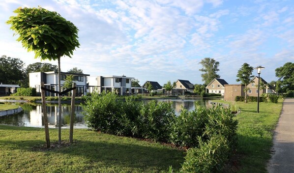 A residential area with modern houses, a small pond, and a pathway.