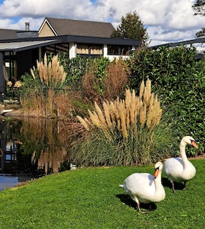 Property grounds - Chalet Aleblie op een Vakantiepark in Midden Limburg (Susteren)
