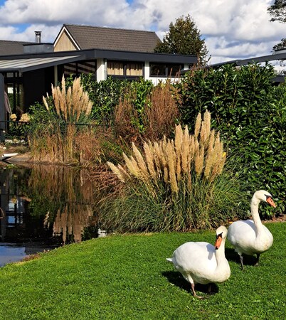 Chalet Aleblie op een Vakantiepark in Midden Limburg