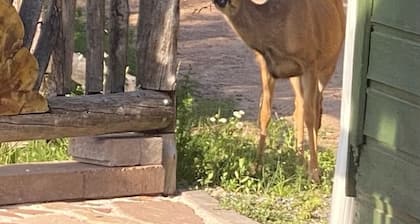 Mountain views, jacuzzi, deck, forest, wildlife