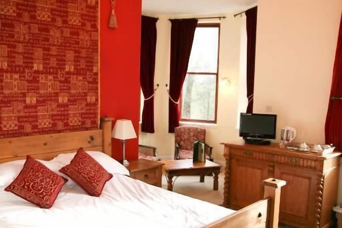 A bedroom with a wooden bed, a television, a desk, and a chair.