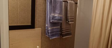 Eco-friendly toiletries, hair dryer, towels, soap
